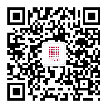 FESCO广东fhty凤凰